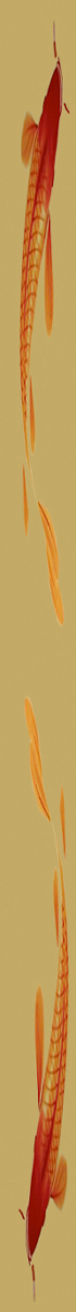 koi sidebar