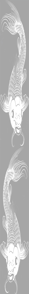 koi