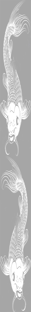 koi